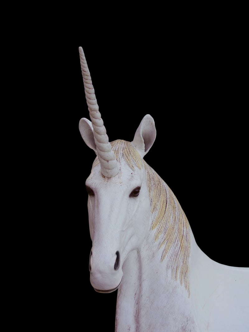 Unicorn Meadow Waterfall